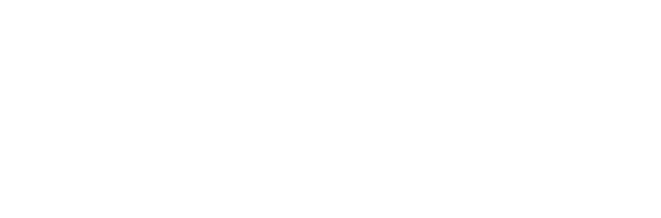 NSL KONUT